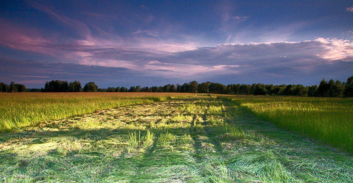 , Николай Морский