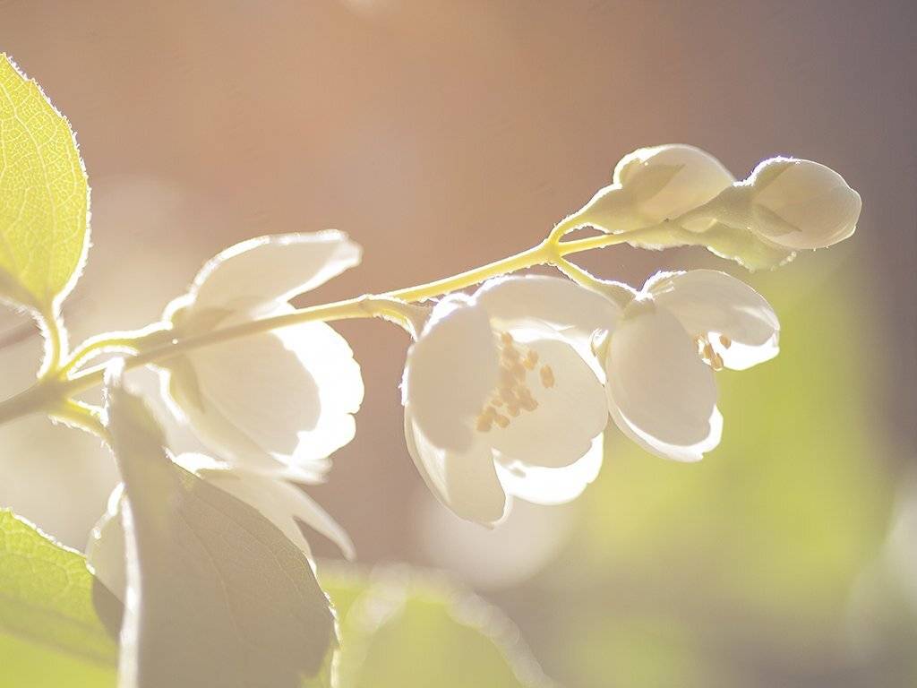 , Штабнов Юрий