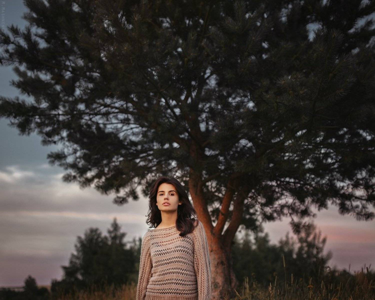 , Машненко Максим