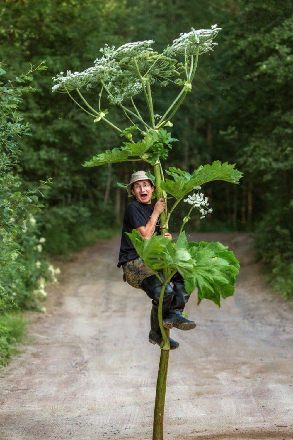 , Лазарев Александр