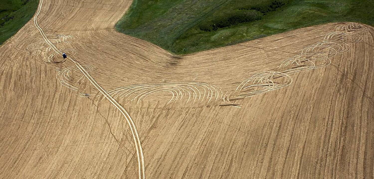 казахстан, сарыозек, пашня, aerial, Борис Резванцев