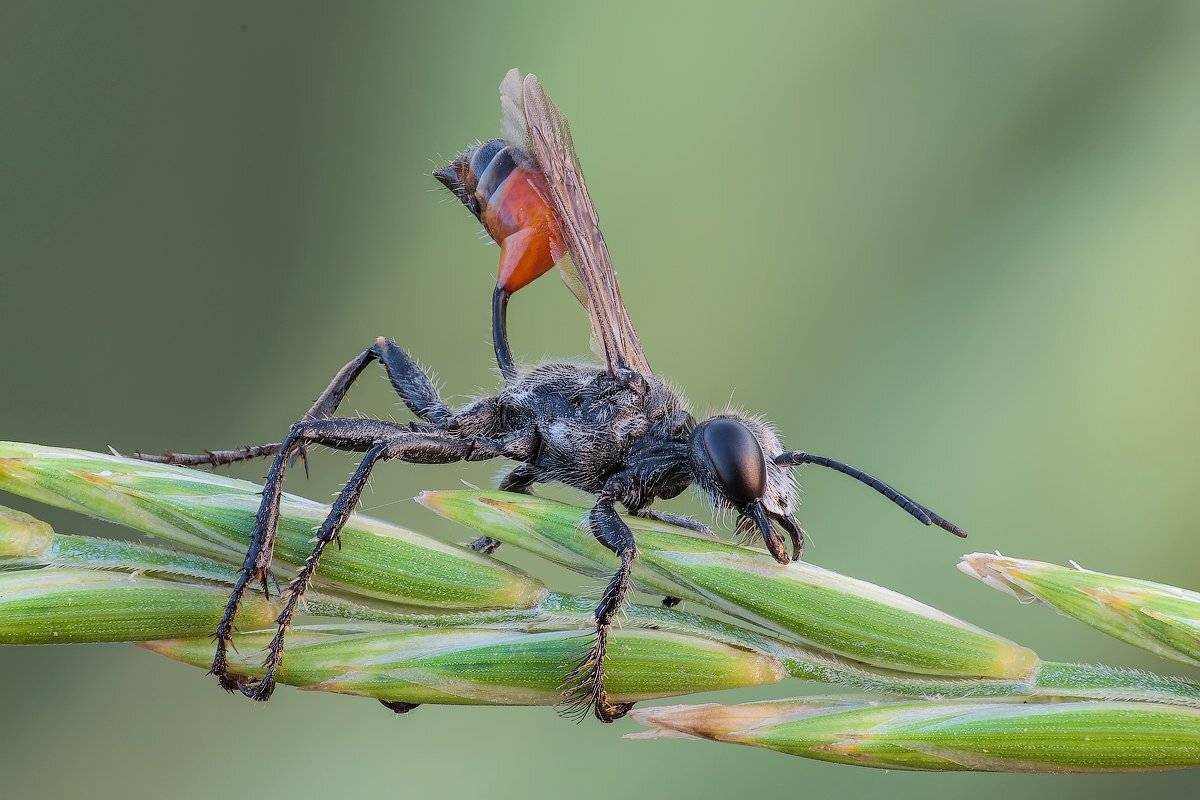, Вадим Ходаковский