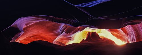 Своенравные животные, почти что олени, но поярче отдельными местами