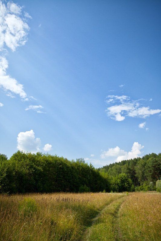 * фото превью