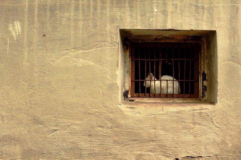 #^_^# фото превью