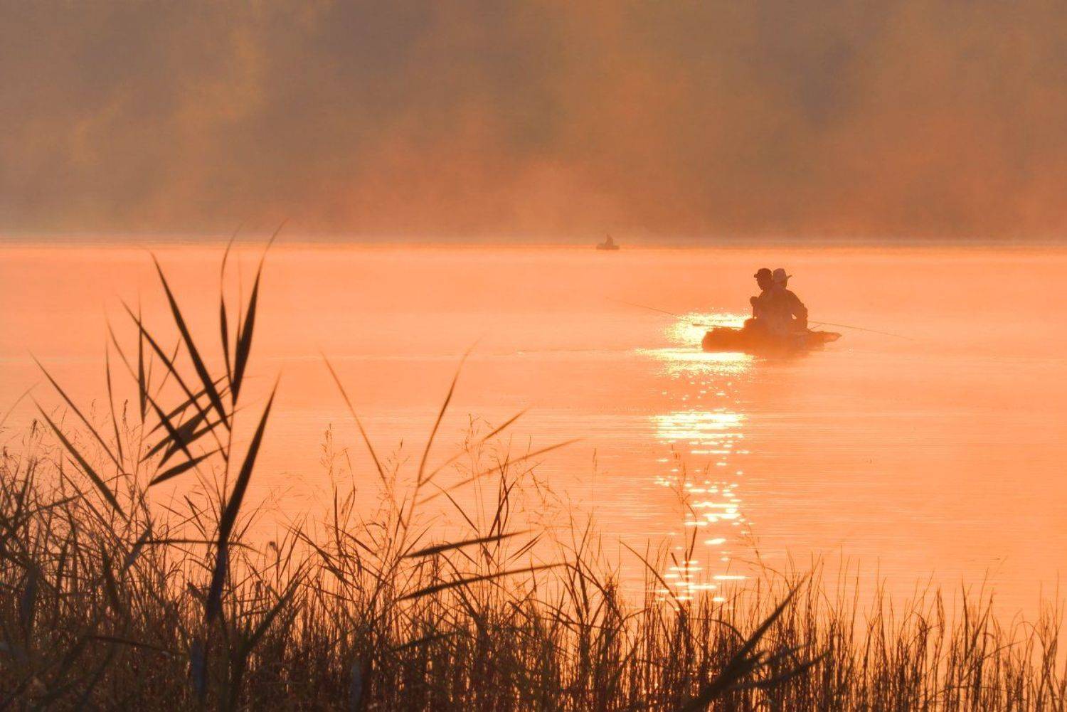 , Максим Евдокимов