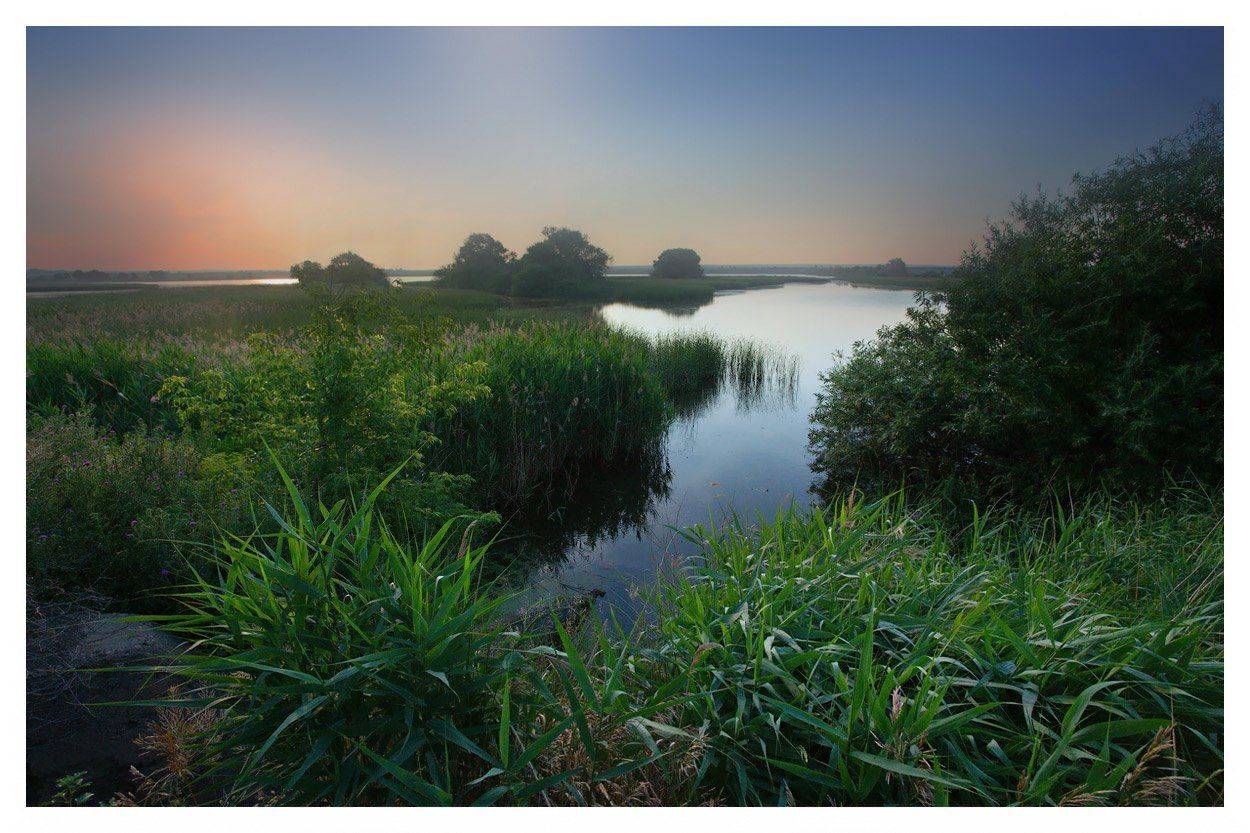 , Владимир Ляпин