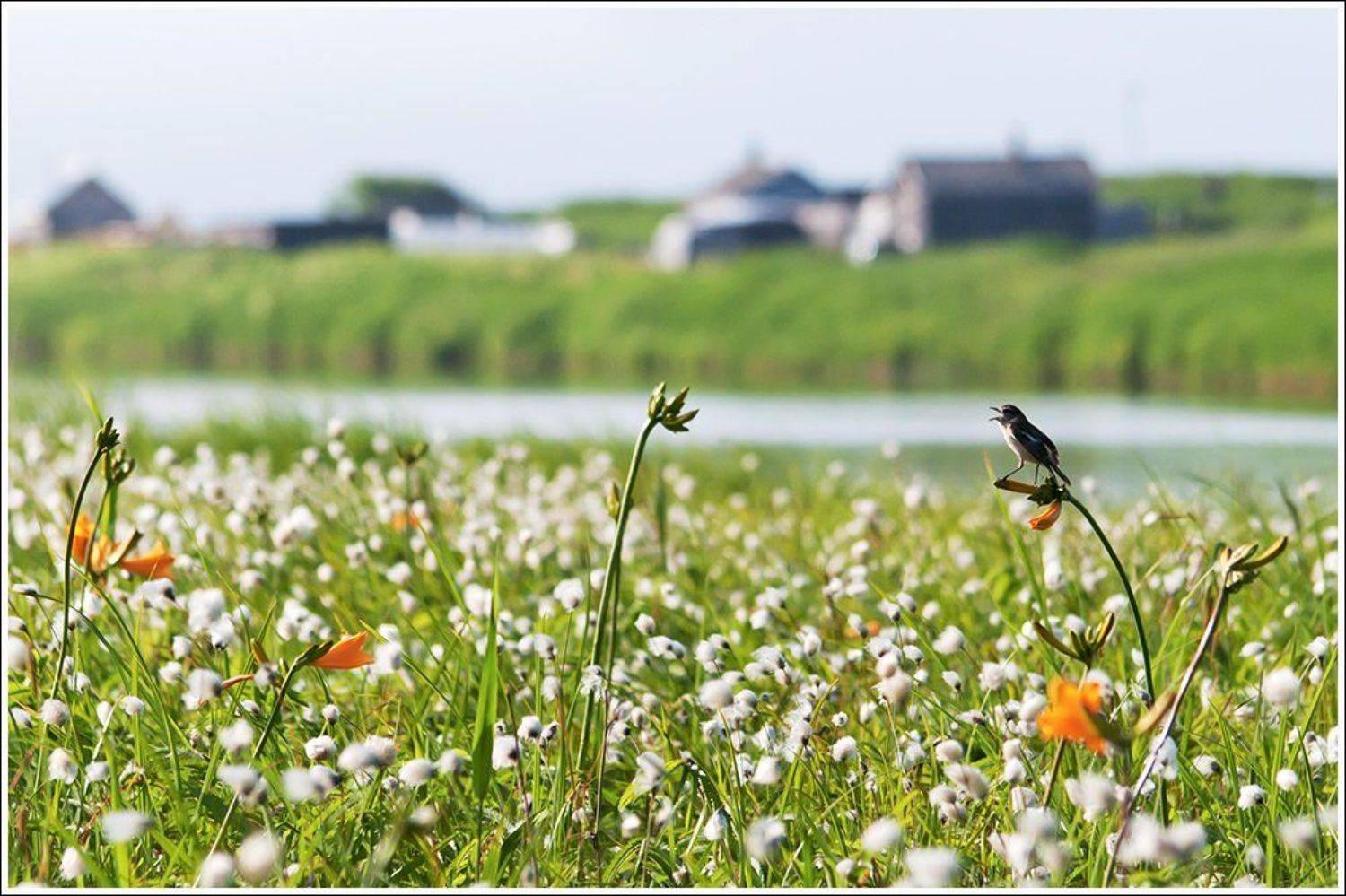 , Ольга Куликова