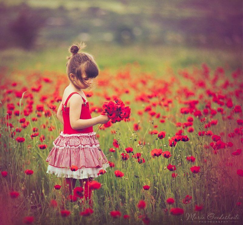Elly, Field, Flowers, Girl, Poppies, Poppy Poppy Girl фото превью