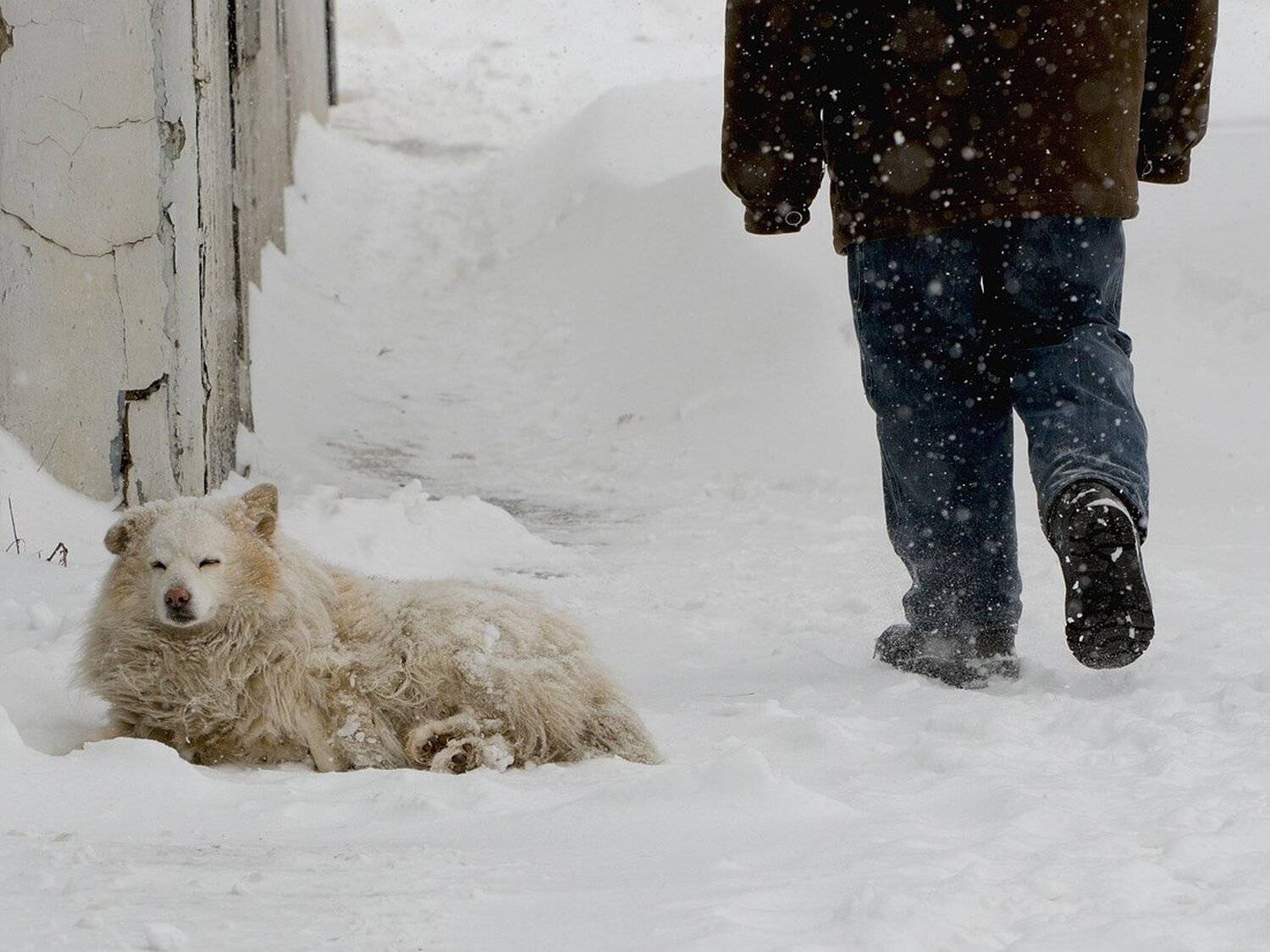 , Михаил Агеев