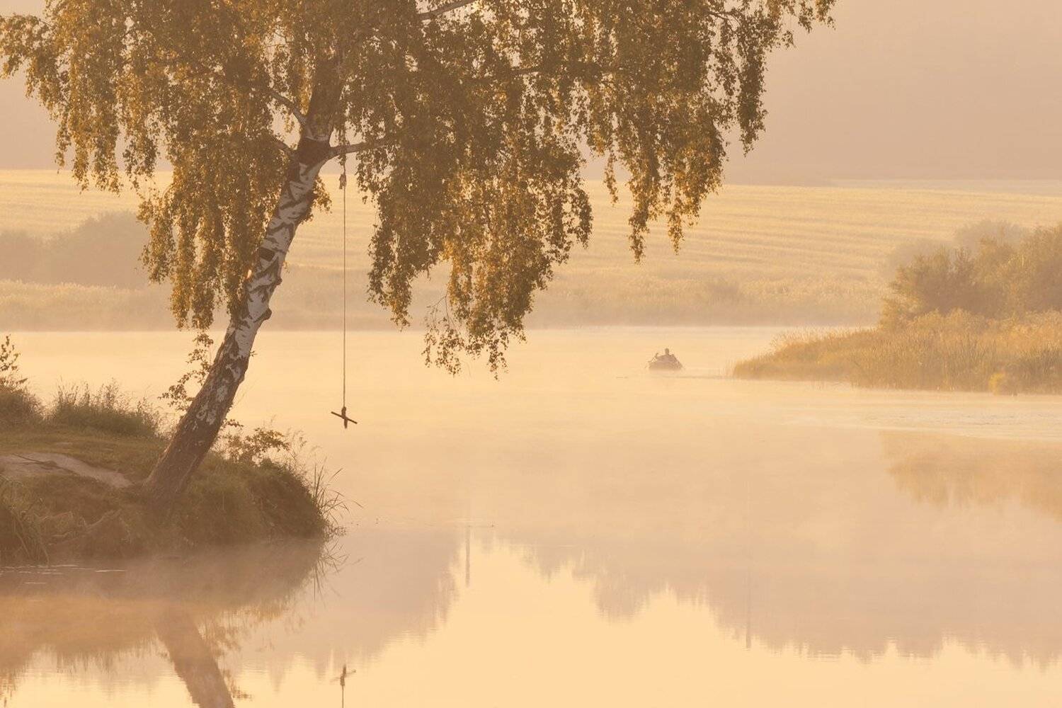 , Максим Евдокимов