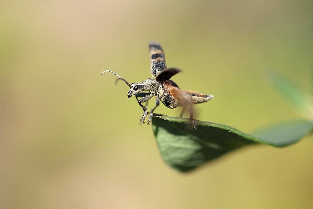 , Сергей Таланов