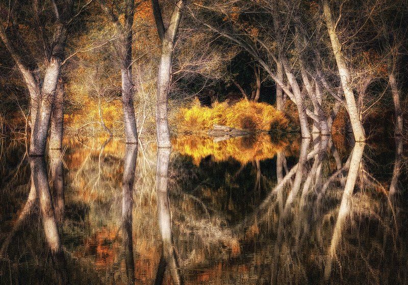 В гости к лешему фото превью