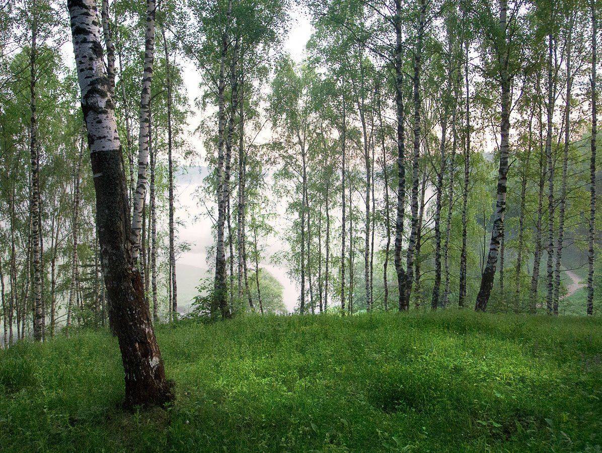 , Марина Брыдня