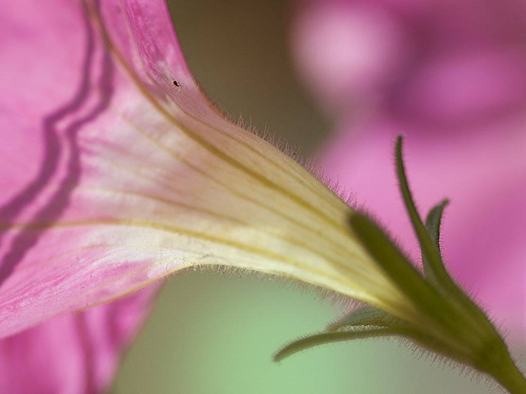 , Штабнов Юрий