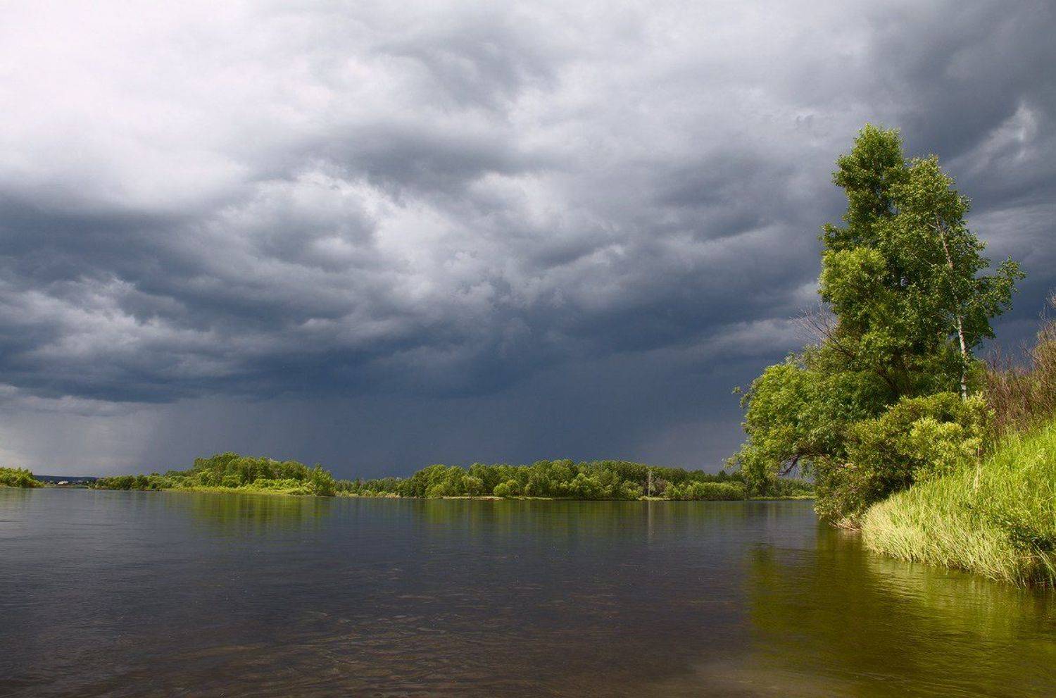 , Николай Морский