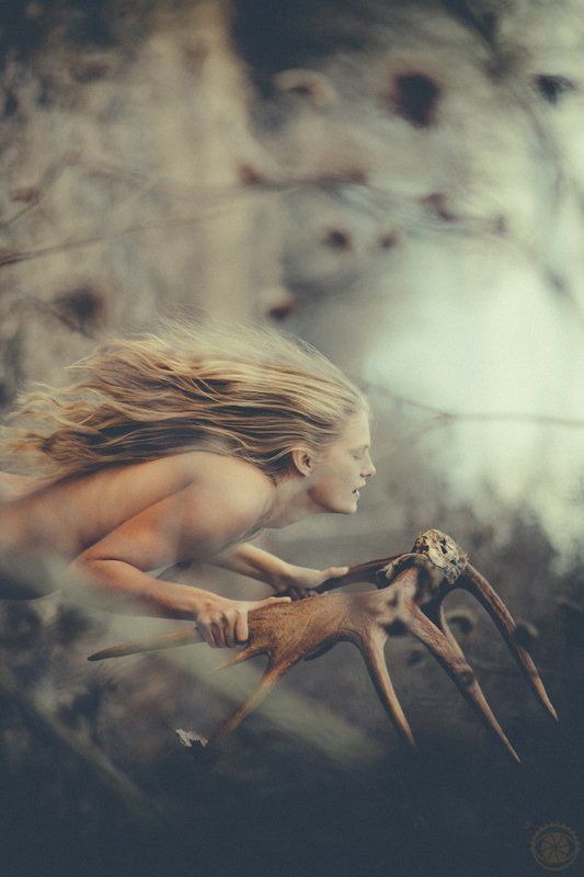 Siberia, Лес, Лось, Миф, Охота, Природа, Россия, Сибирь, Сказка, Скандинавия, Славяне, Тайга, Тундра Siberia фото превью