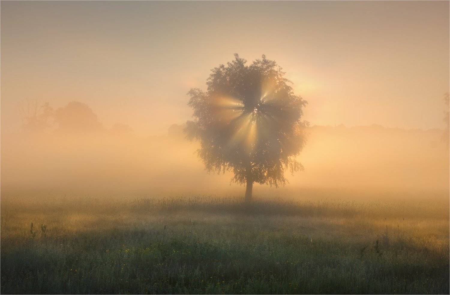 , Александр Киценко