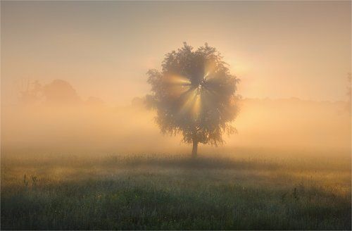 Самое Доброе Утро!!!!