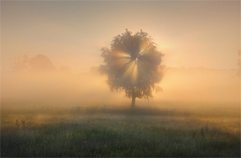 Самое Доброе Утро!!!! фото превью