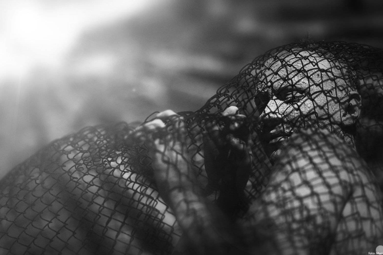 , Шихахмедова Марина