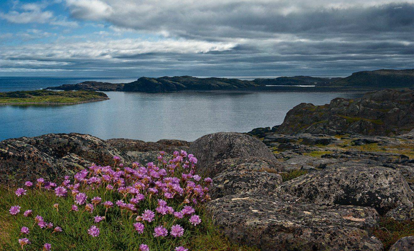 , Гелена Гленкова