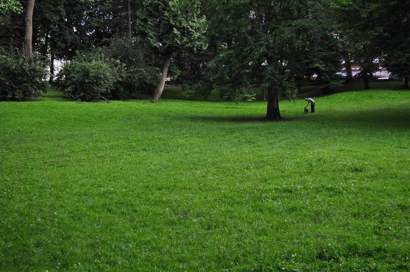 ... фото превью