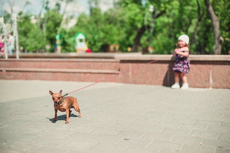 Девочка с собачкой фото превью