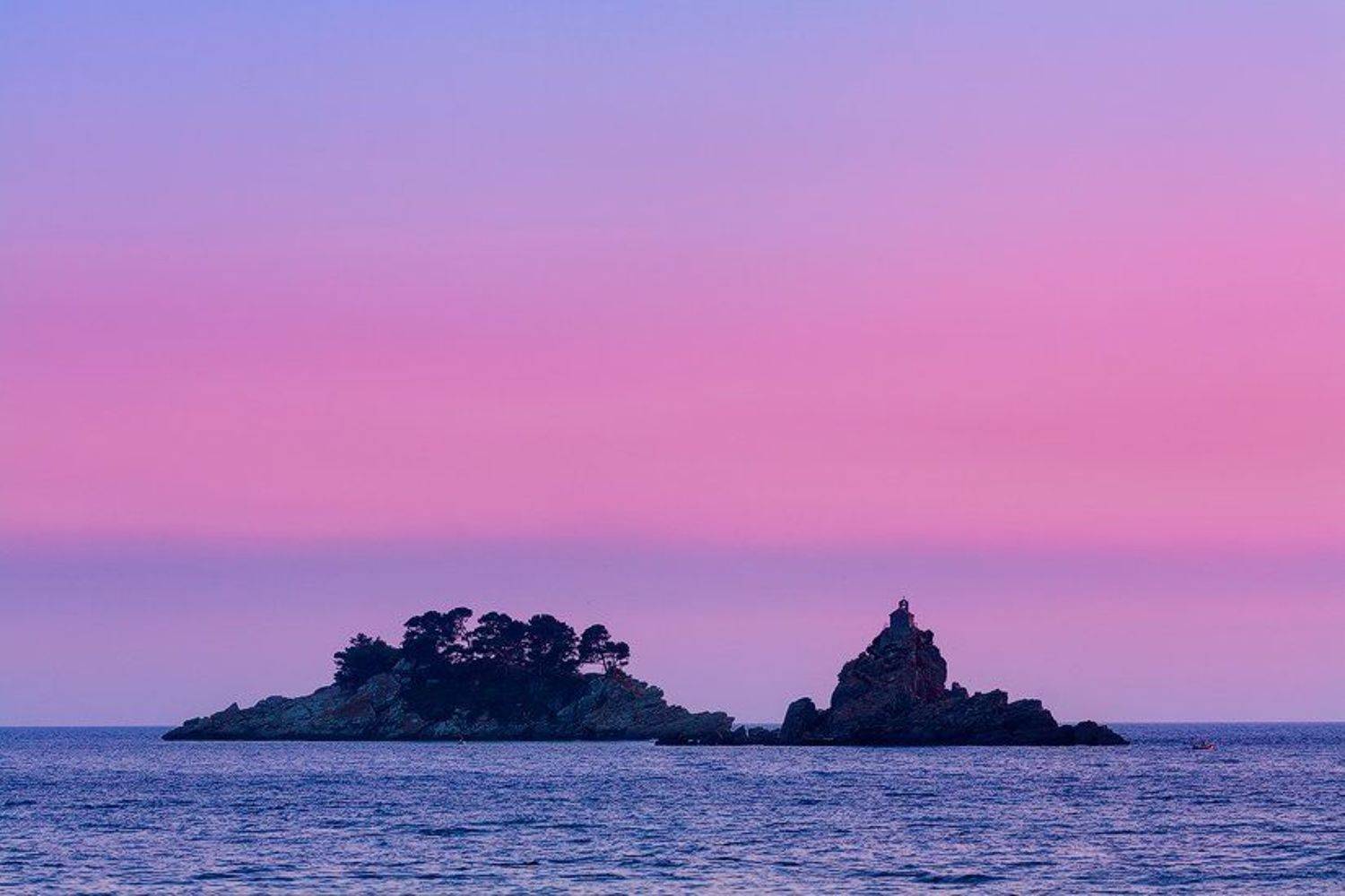 , Тихомир Младенов