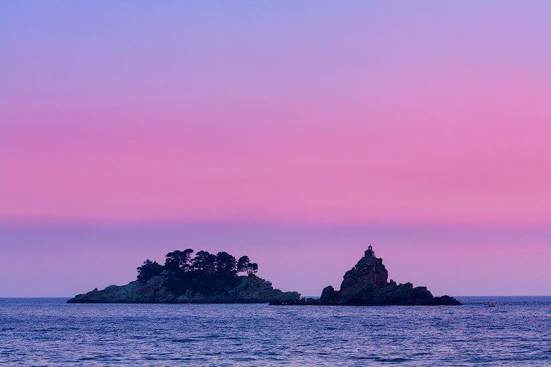 Pink world фото превью