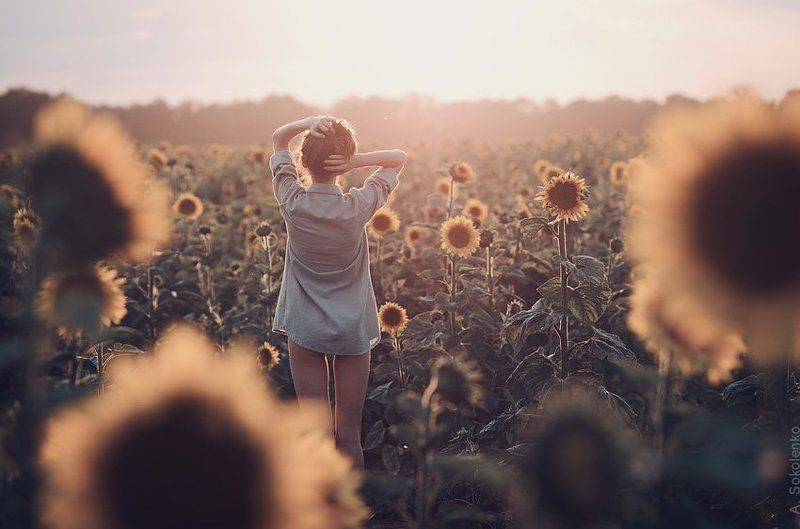 summer фото превью