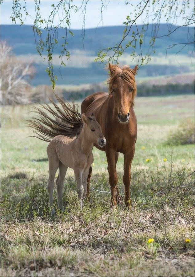 , Кутыгин Эдуард