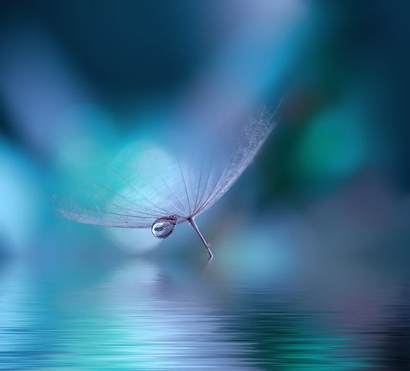 The Song of the Sea... фото превью