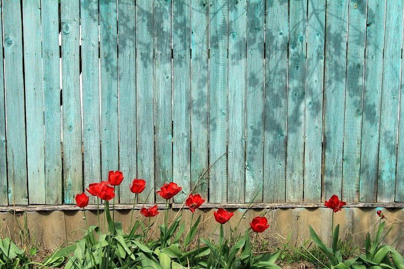 !!!!!!!!!!!!!! фото превью