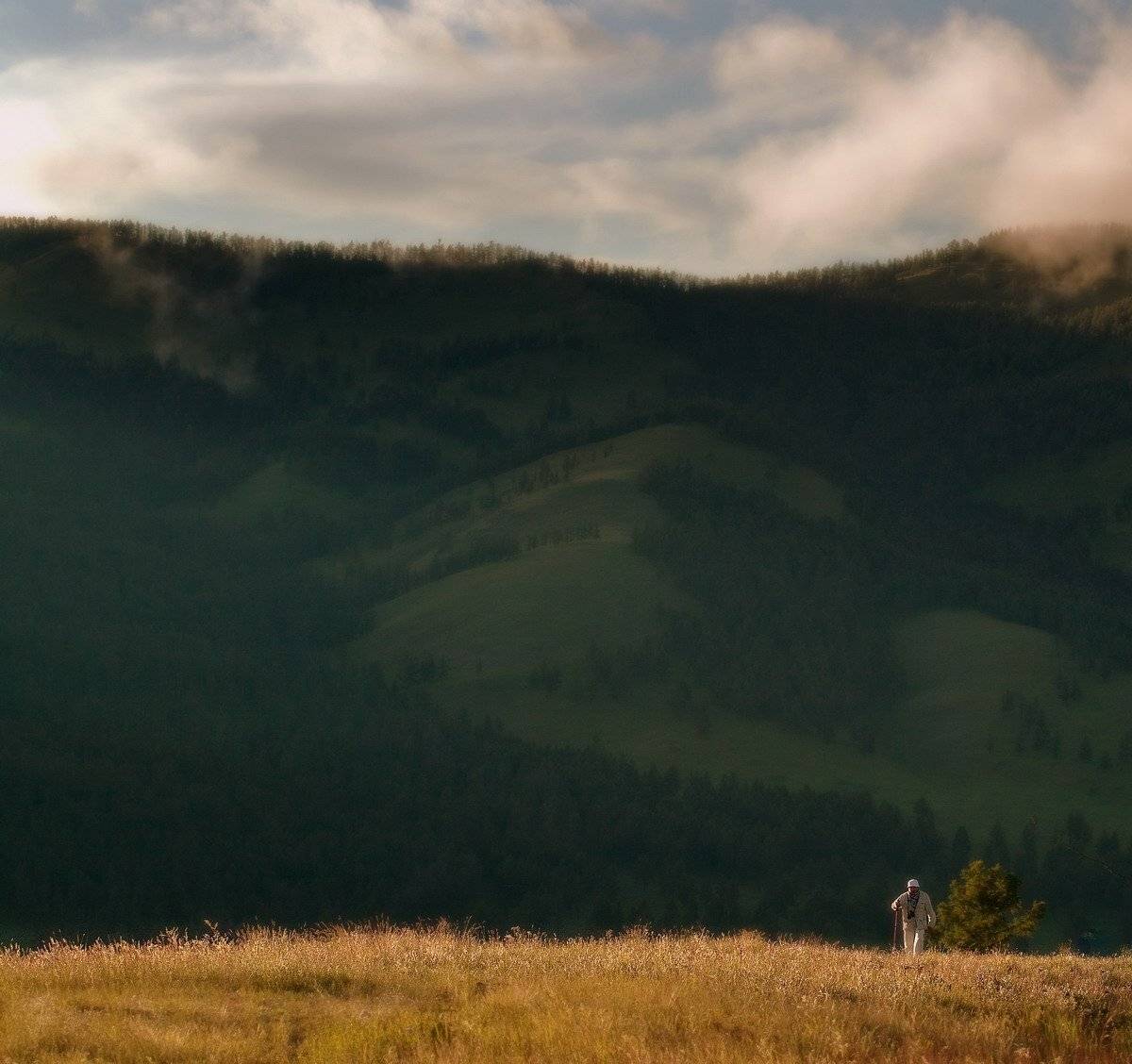 , Алексей Трофимов