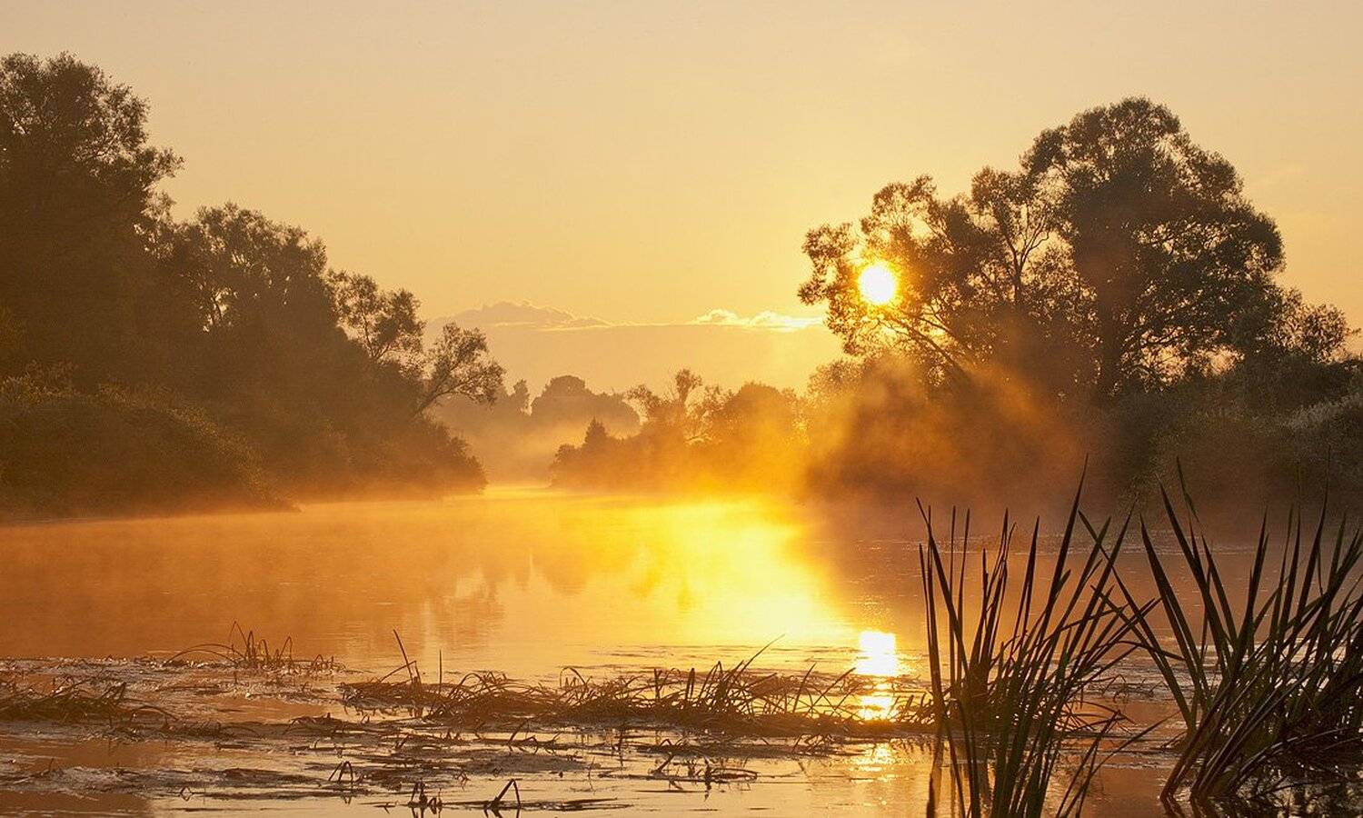 , Михаил Агеев