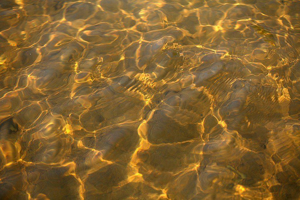 , Сергей Таланов