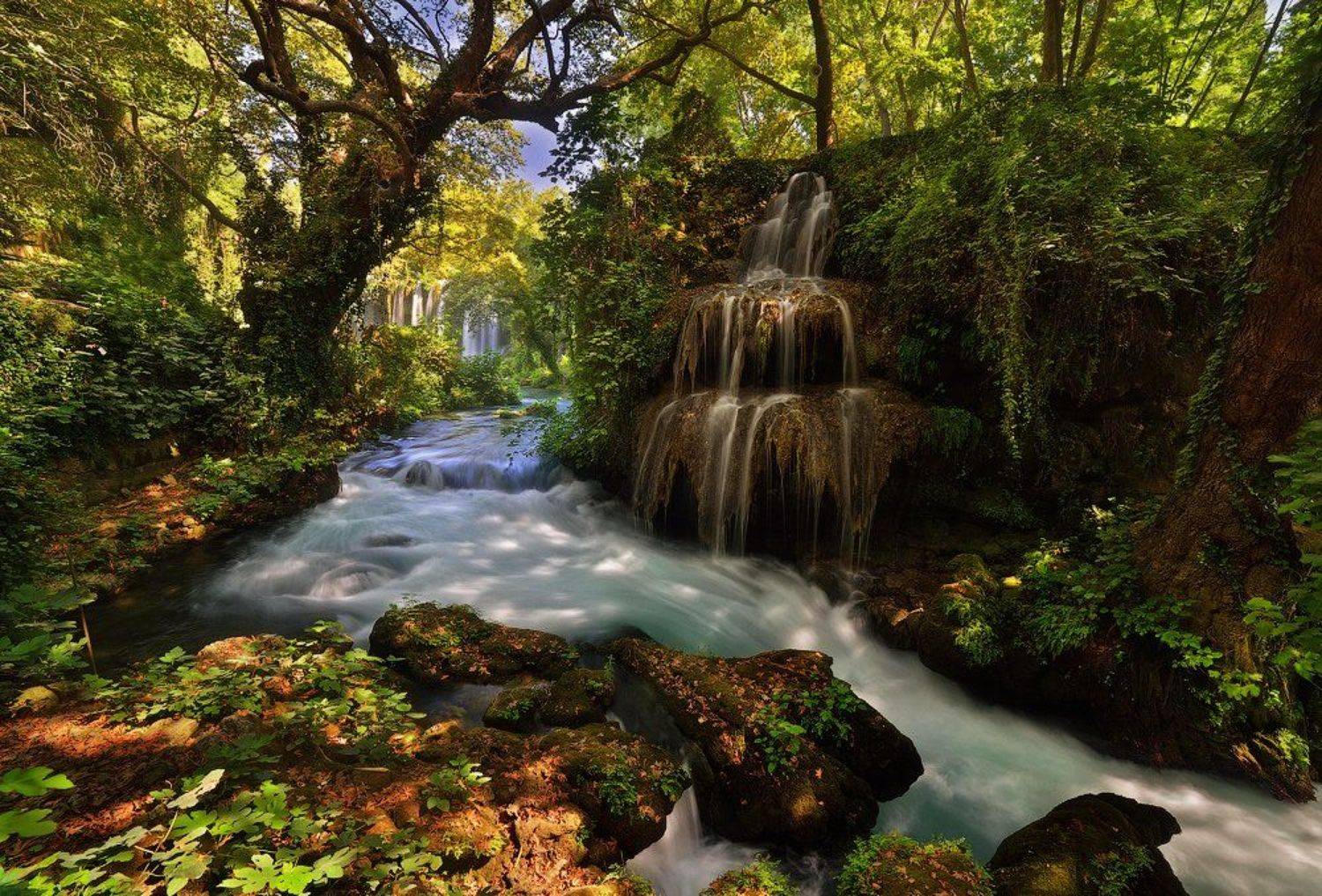 , Олег Пожарков