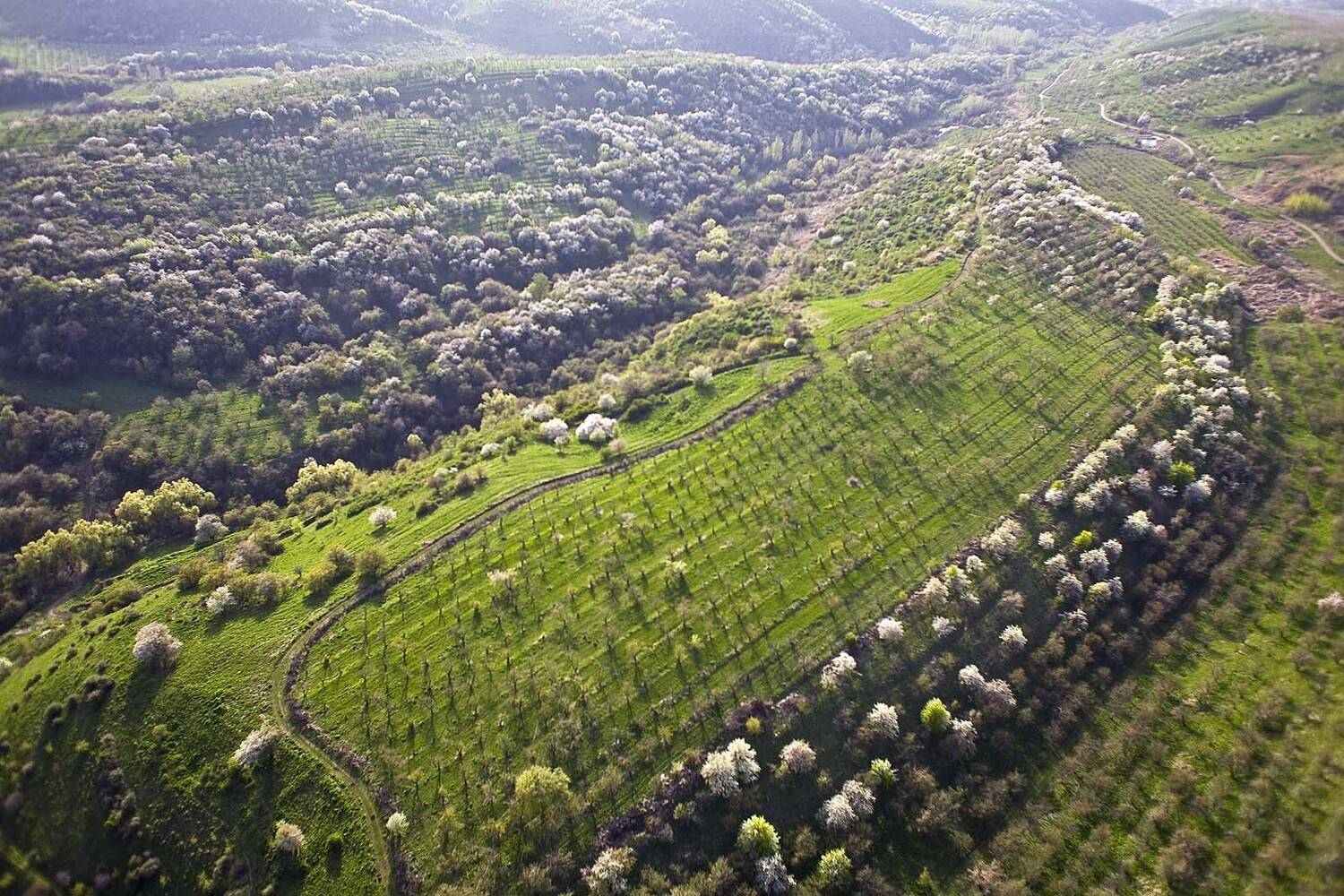алма-ата, тянь-шань, казахстан, Борис Резванцев
