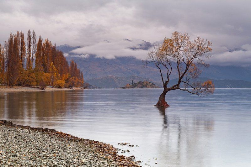 Autumn, Lake Wanaka, New Zealand, Май, Новая Зеландия, Осень Outcast фото превью