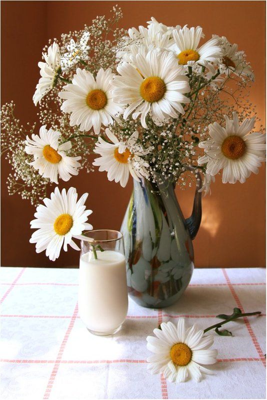 C ромашками. фото превью