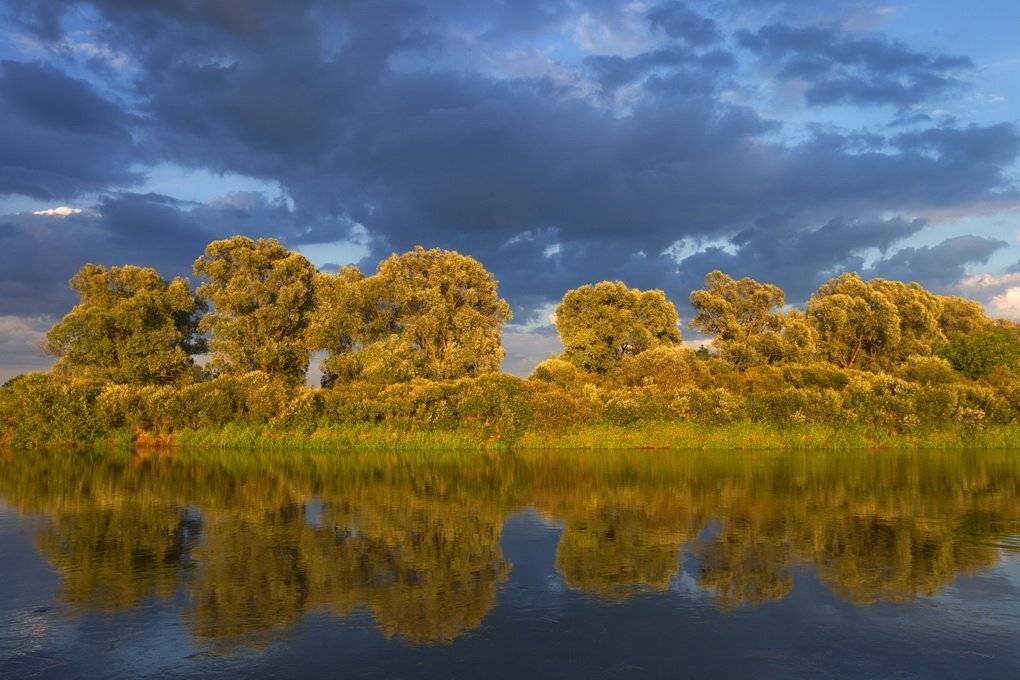 , Валерий Кондратов