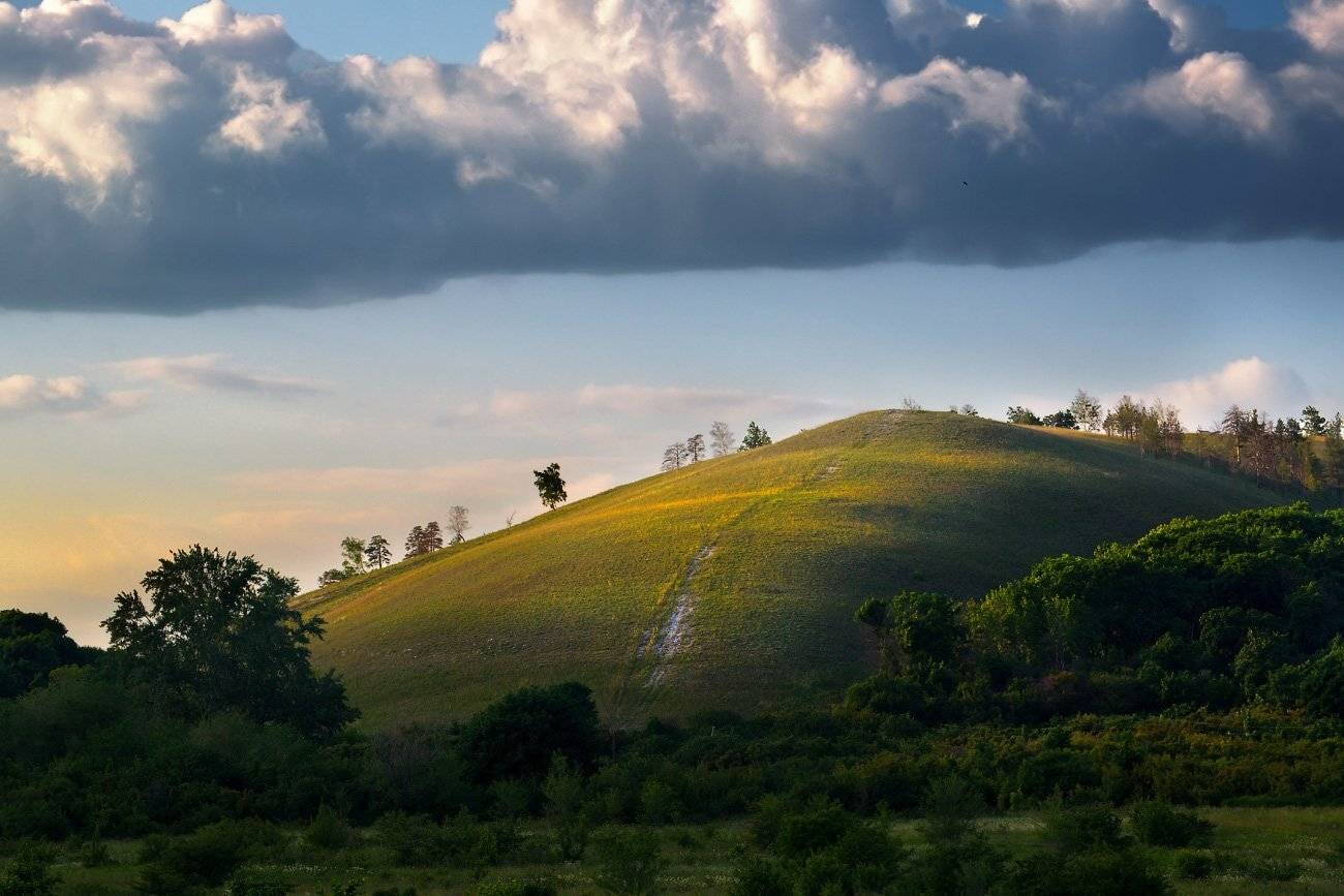 , Владимир Ляпин