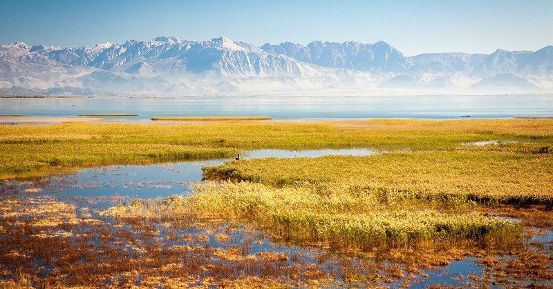 Скадарское озеро, Черногория  фото превью