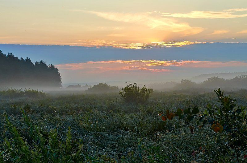 Июльский рассвет в Мещере фото превью