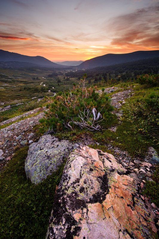 Золотая долина фото превью