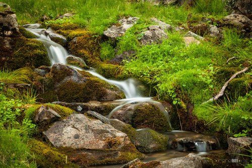 История одного ручья