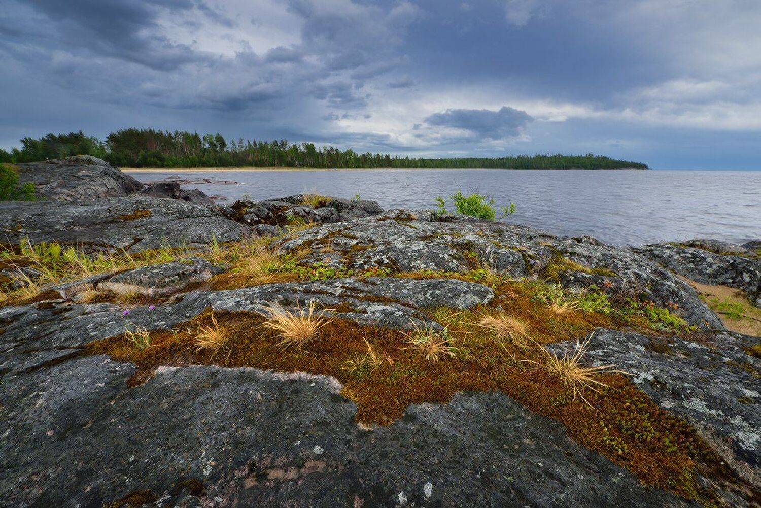 , Максим Евдокимов