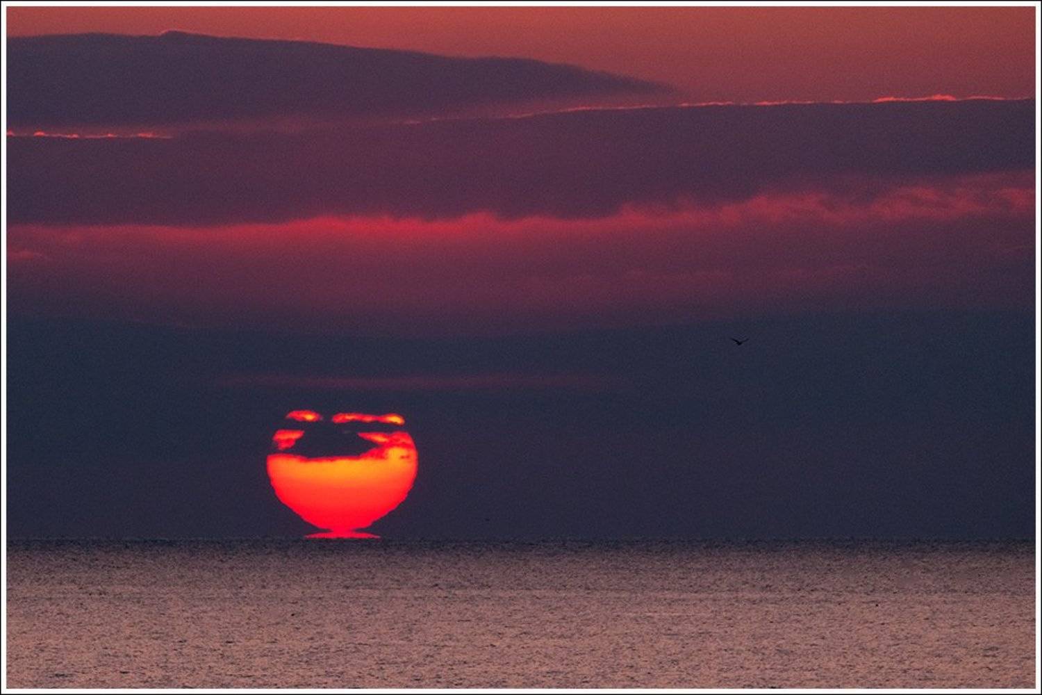 , Ольга Куликова