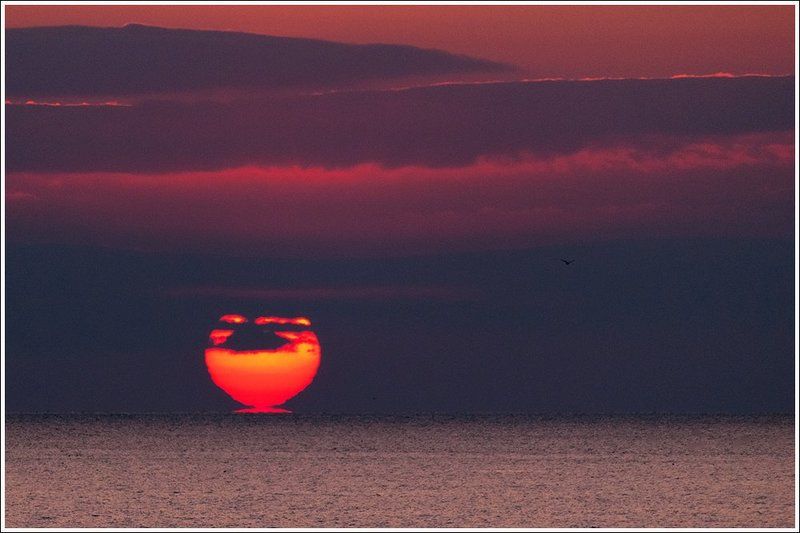 Б/н фото превью